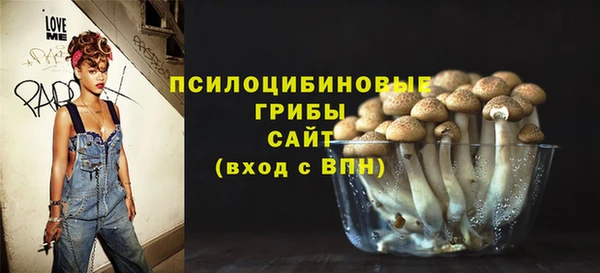 PSILOCYBIN Балахна