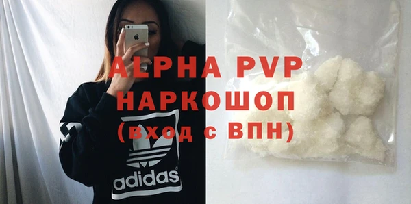 PSILOCYBIN Балахна