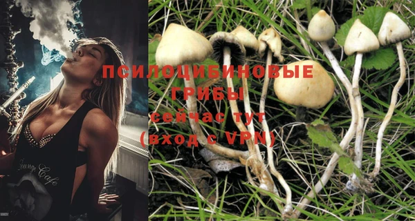 PSILOCYBIN Балахна