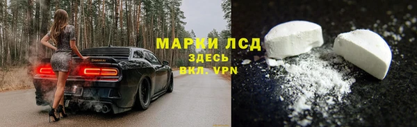 PSILOCYBIN Балахна